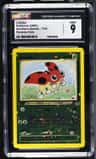 Ledyba