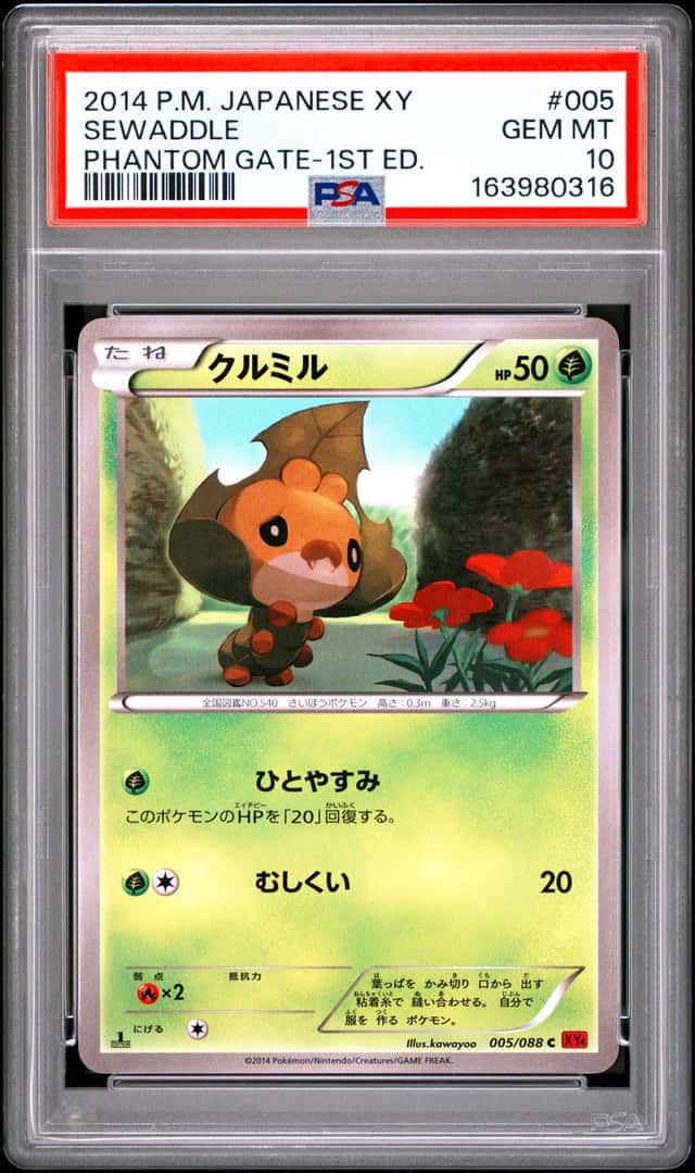 Sewaddle