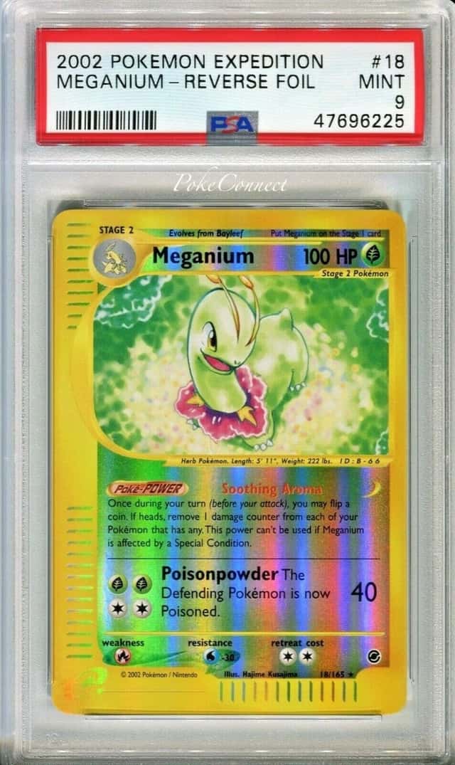 Meganium
