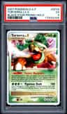 Torterra Lv X