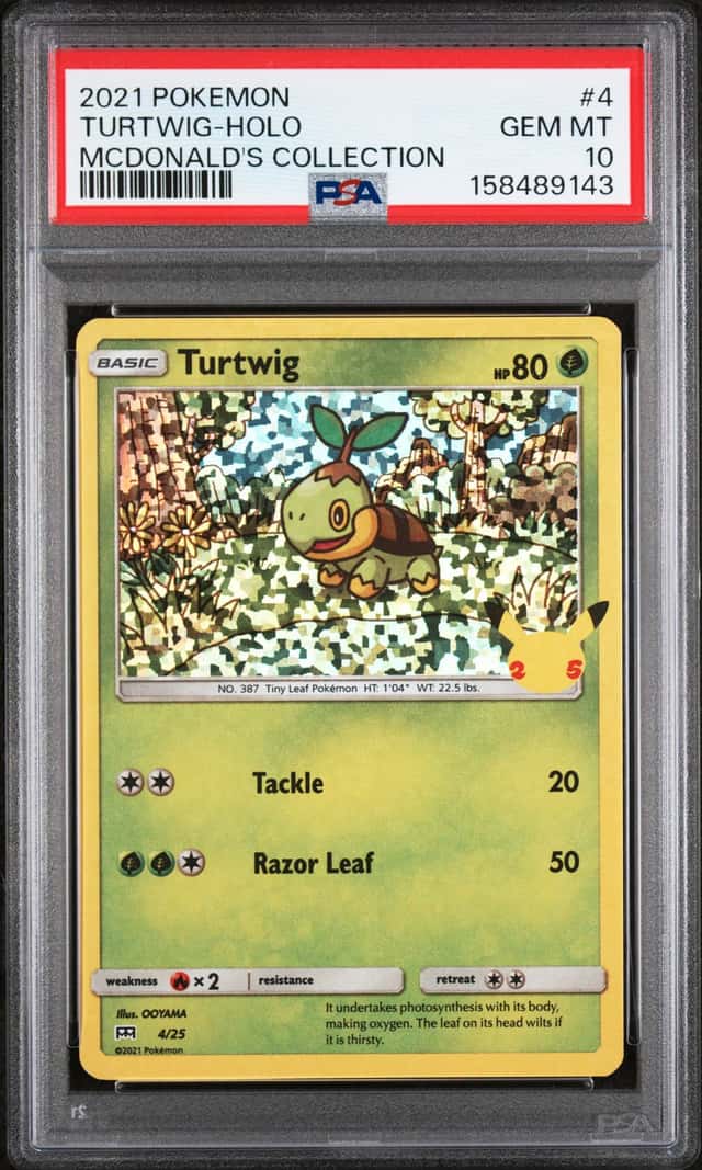 Turtwig