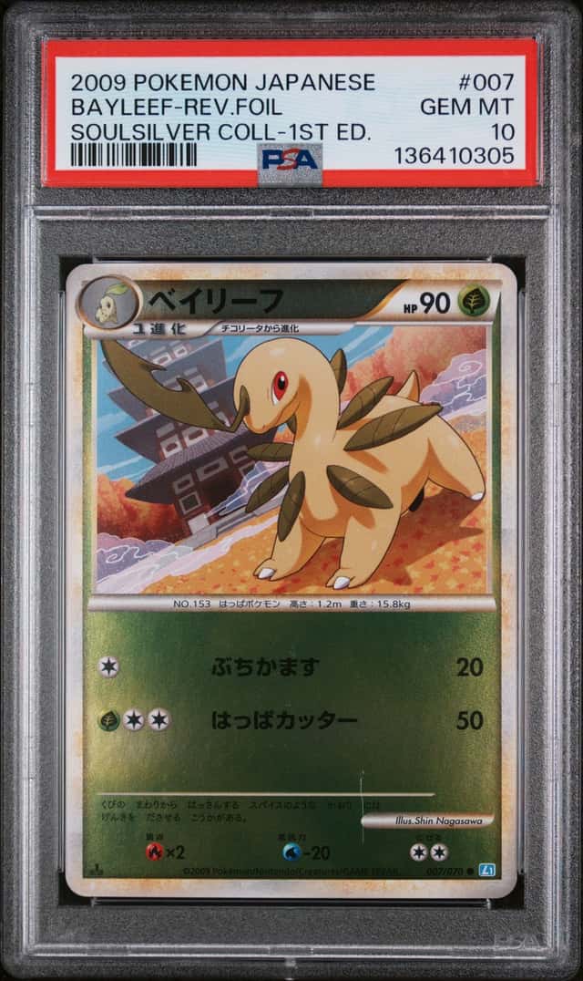 Bayleef