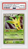 Leafeon Lv X