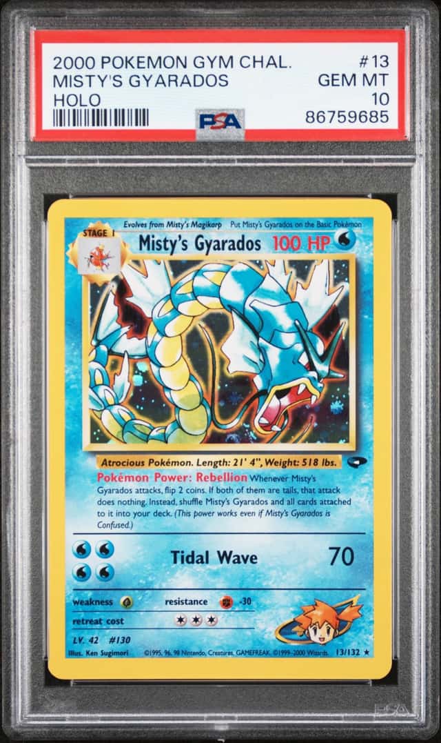 Misty's Gyarados