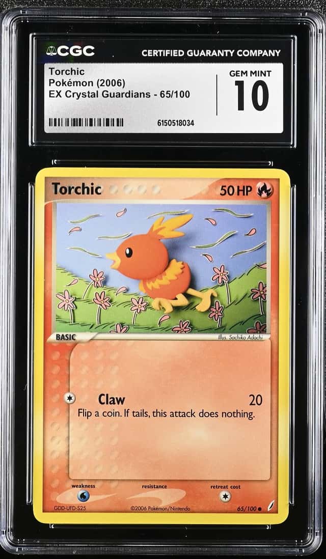Torchic