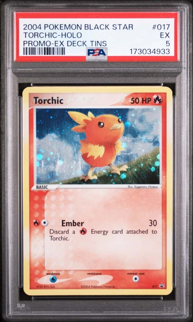 Torchic