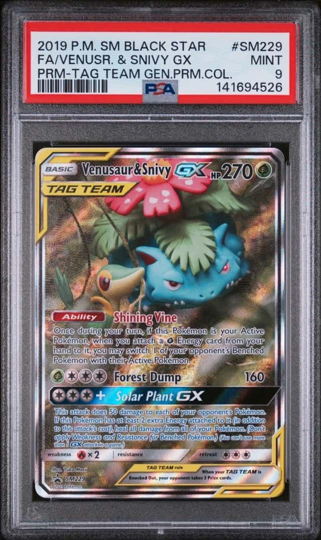 Venusaur & Snivy GX