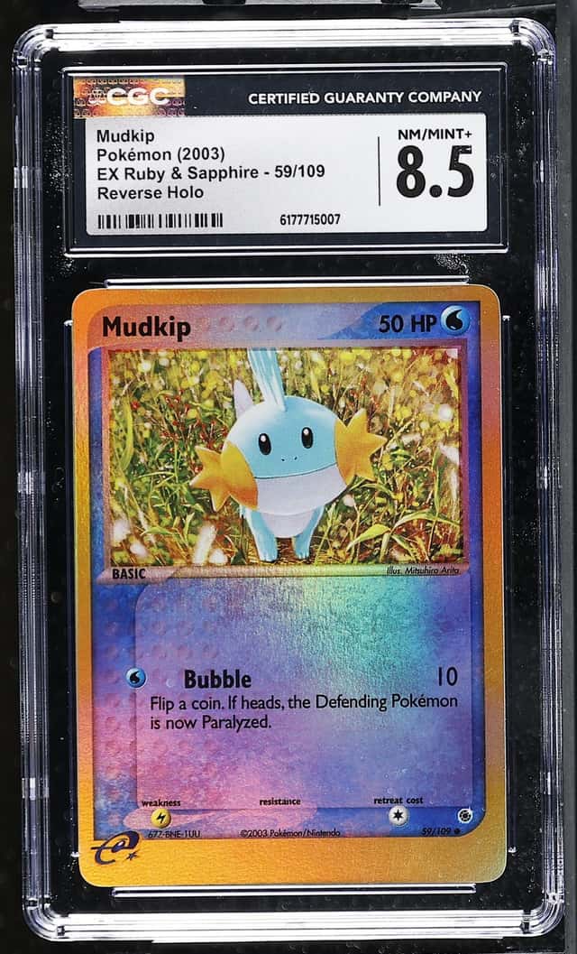 Mudkip
