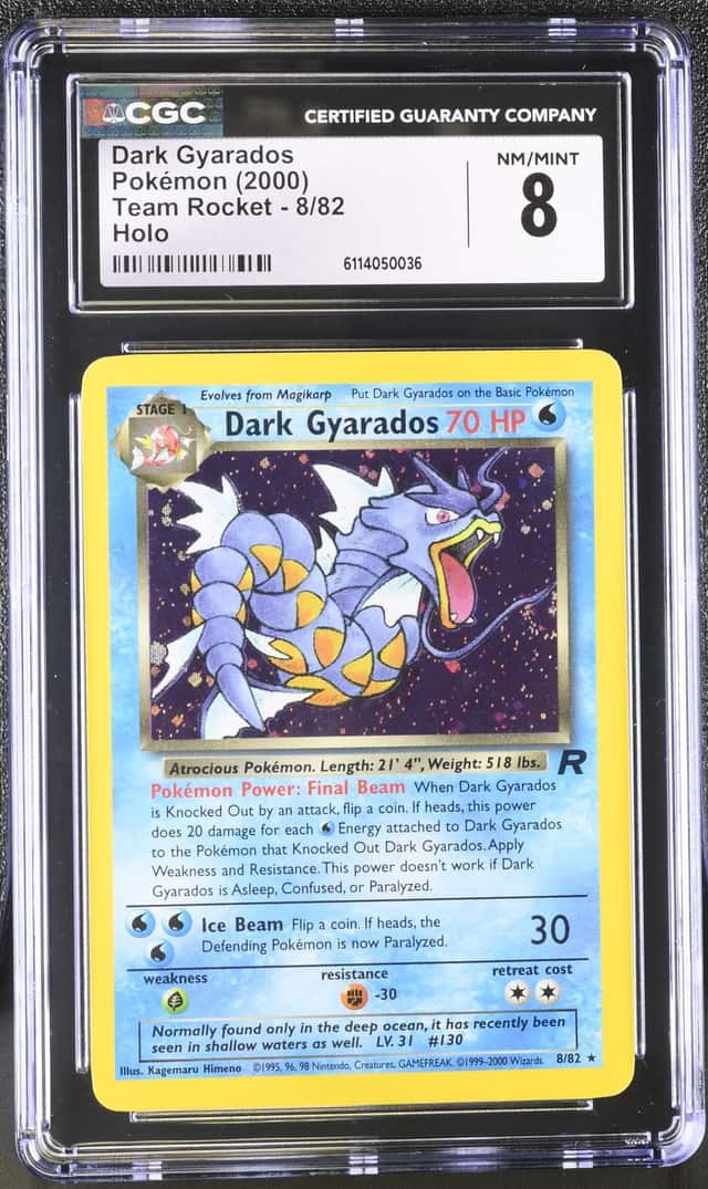 Dark Gyarados