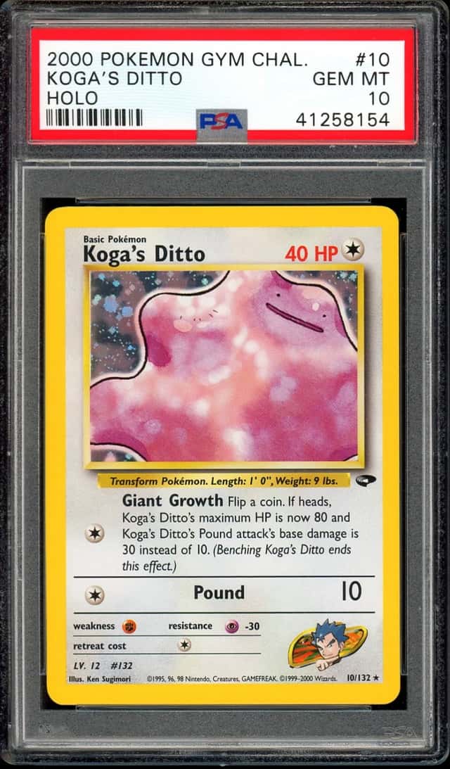 Koga's Ditto