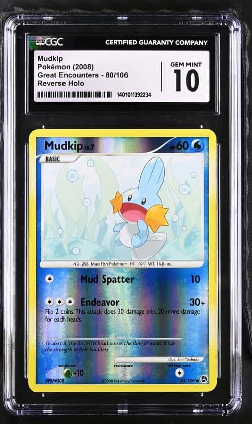 Mudkip