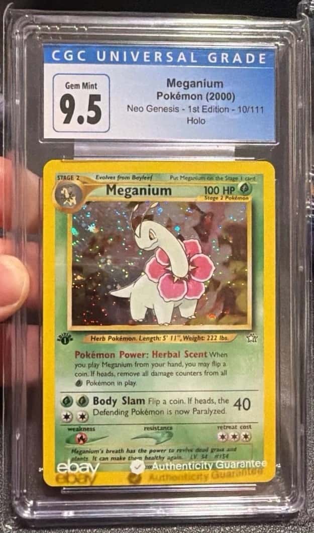 Meganium