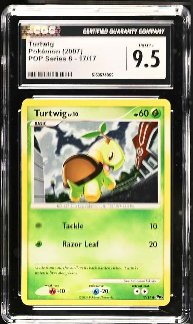 Turtwig