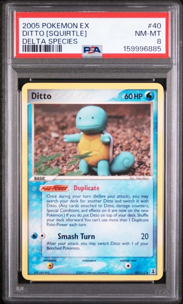 Ditto [Squirtle]
