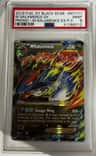 M Salamence Ex