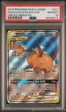 Raichu & Alolan Raichu Gx