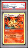Ninetales