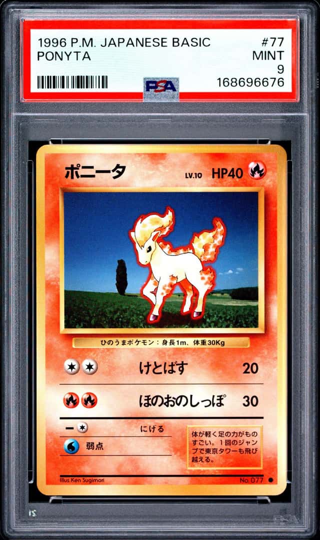 Ponyta