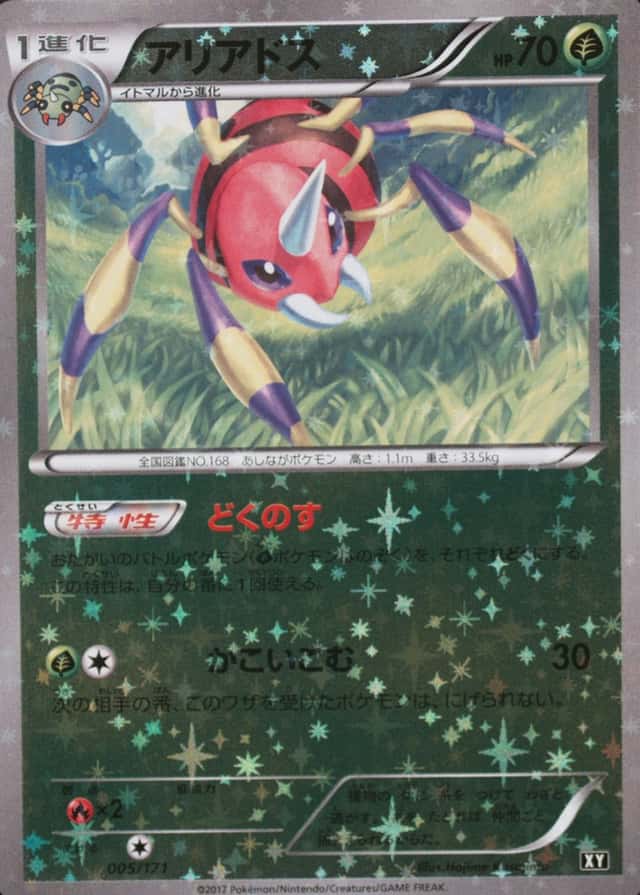 Reverse Holo