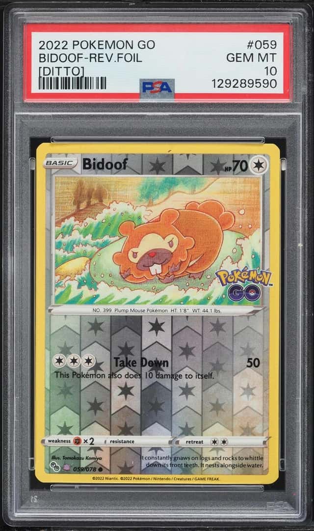Bidoof