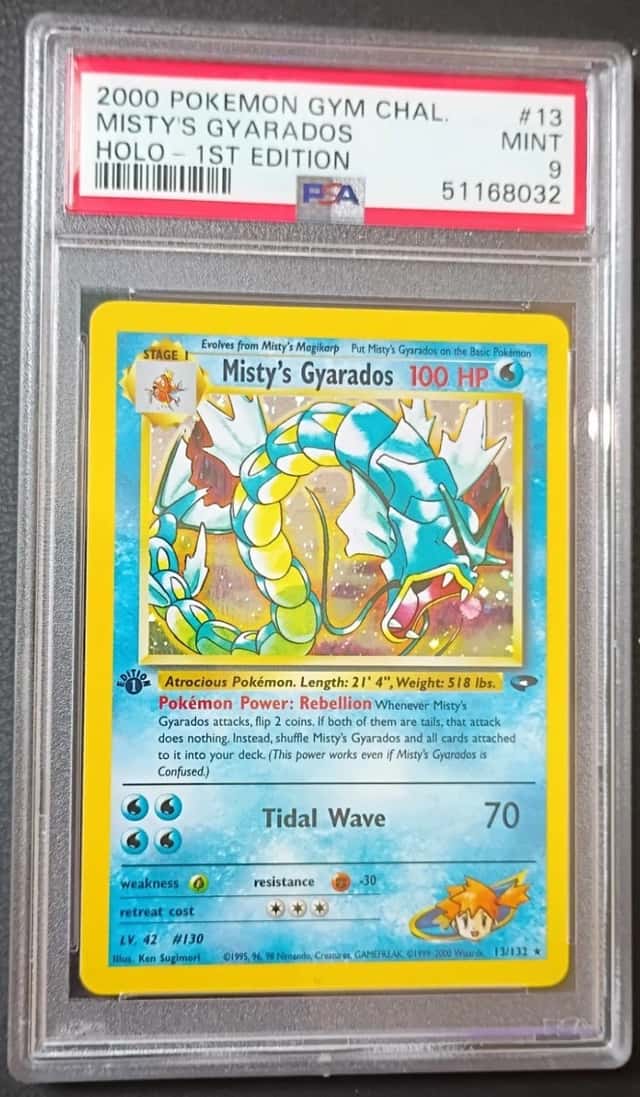 Misty's Gyarados
