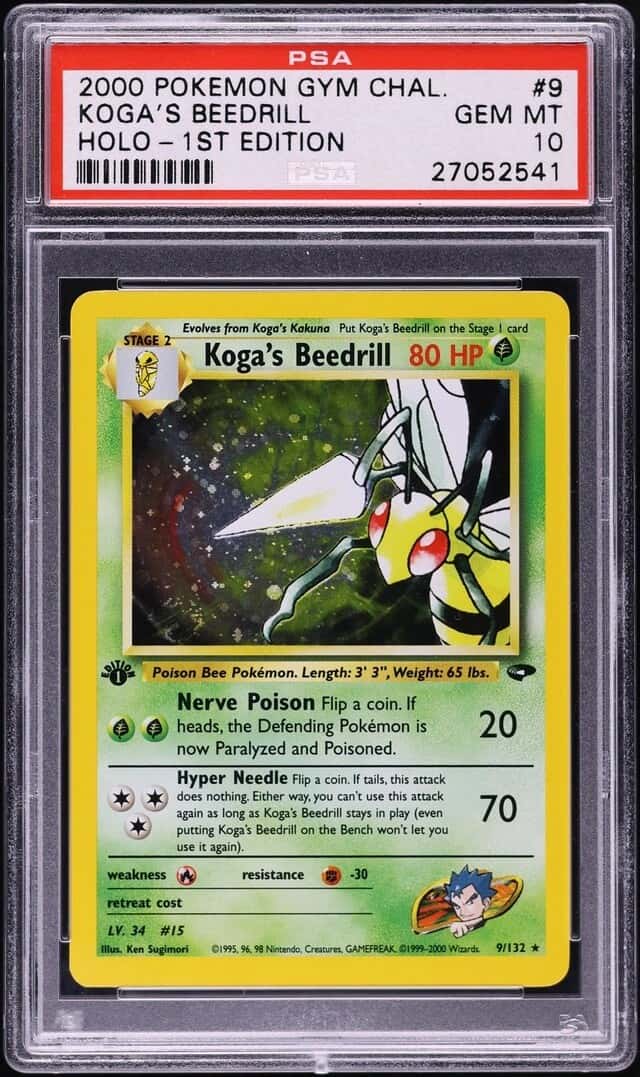 Koga's Beedrill