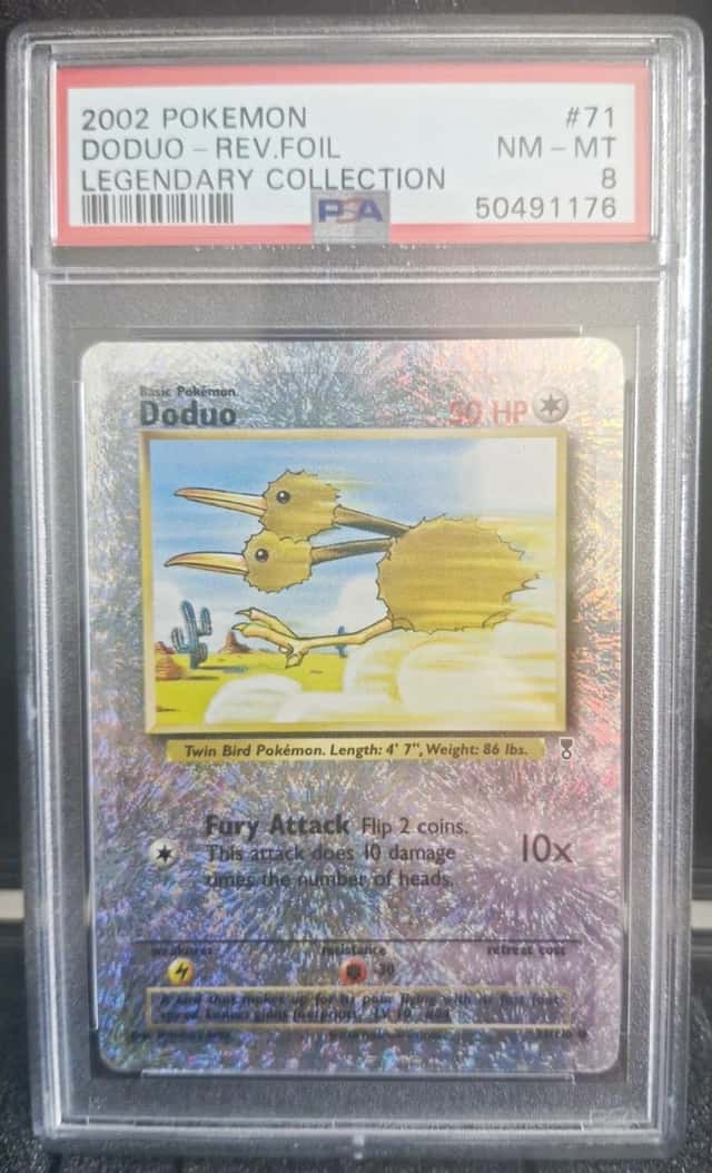 Doduo