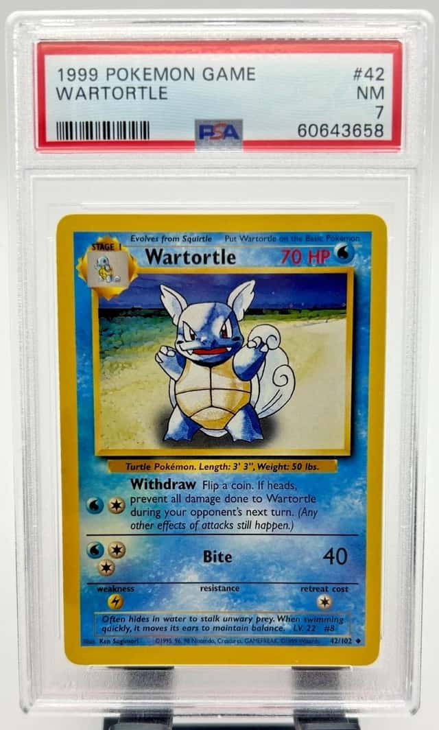 Wartortle