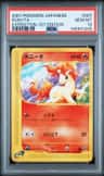 Ponyta