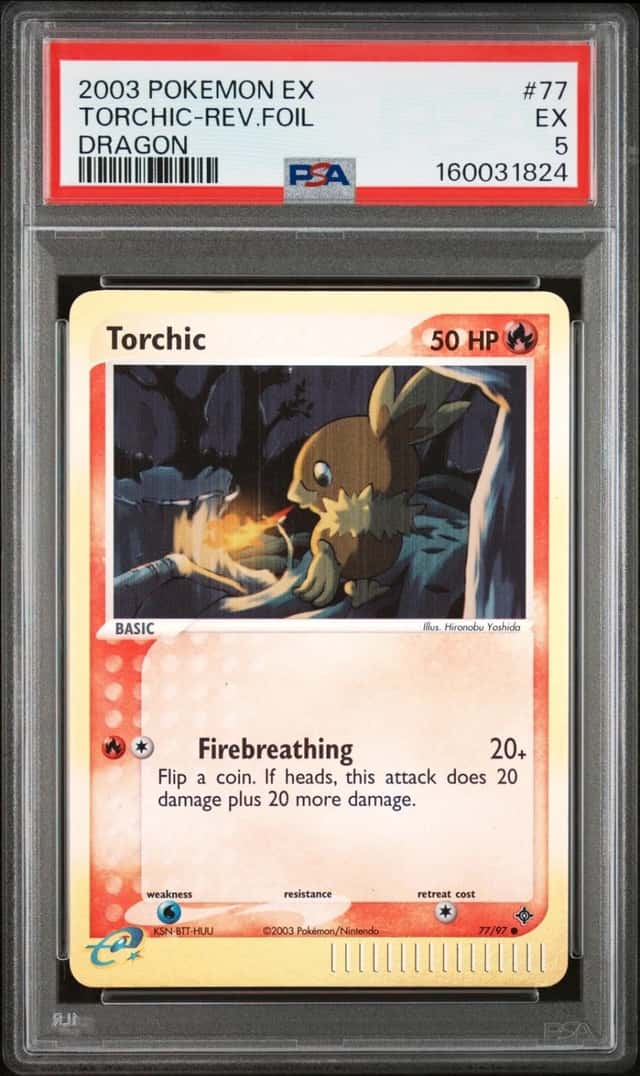 Torchic