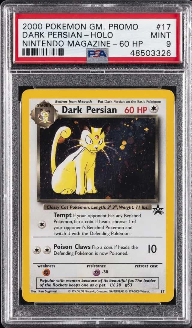 Dark Persian