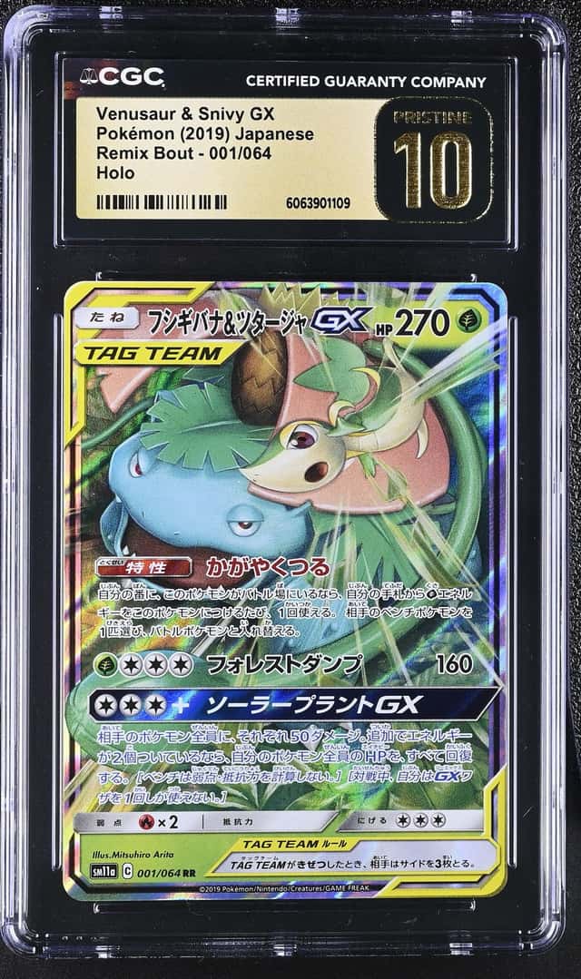 Venusaur & Snivy GX