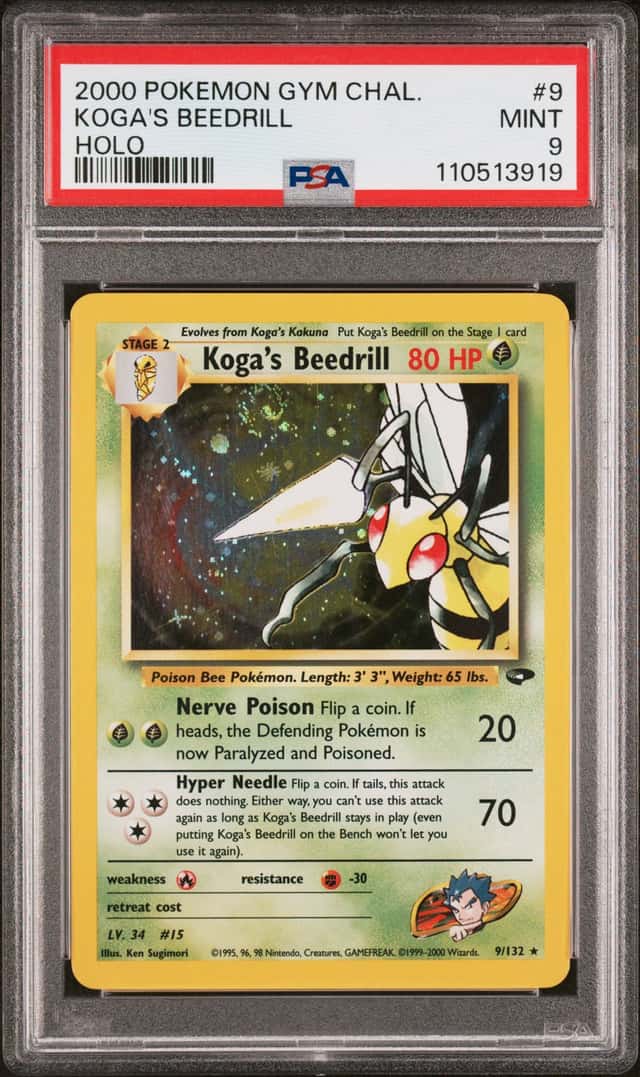 Koga's Beedrill