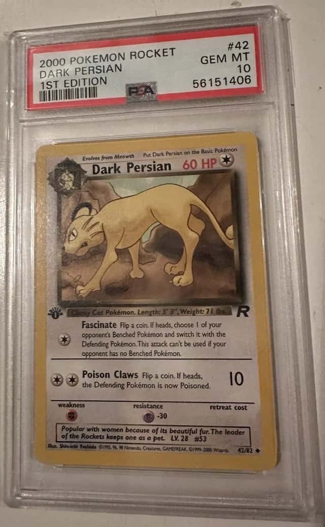 Dark Persian