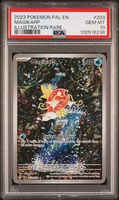 Magikarp