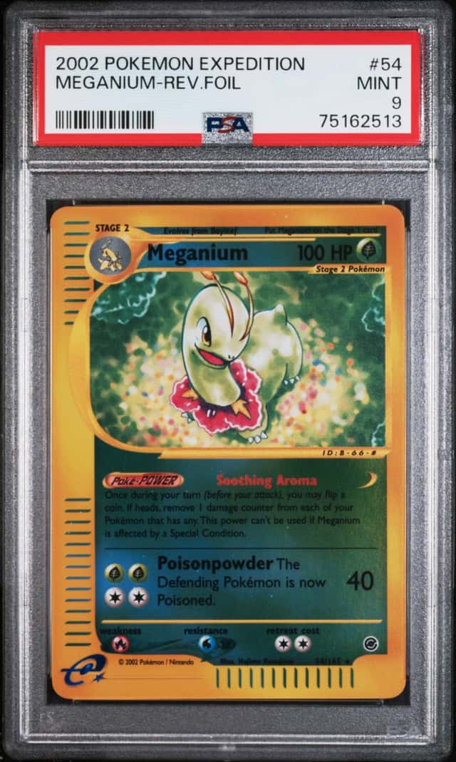 Meganium