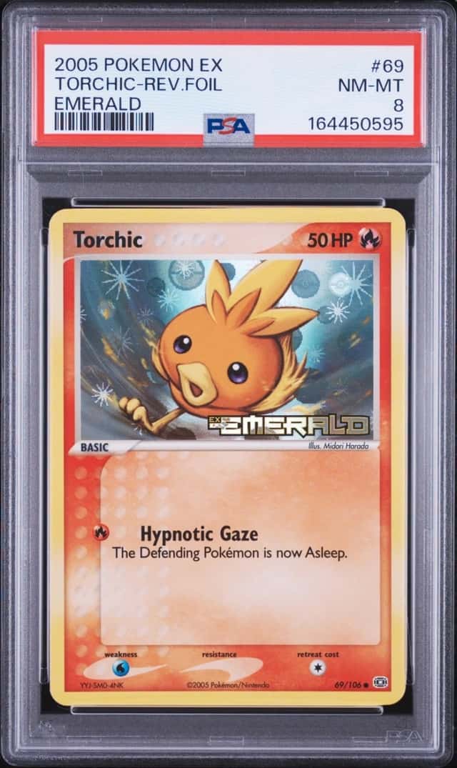 Torchic