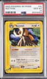 Noctowl