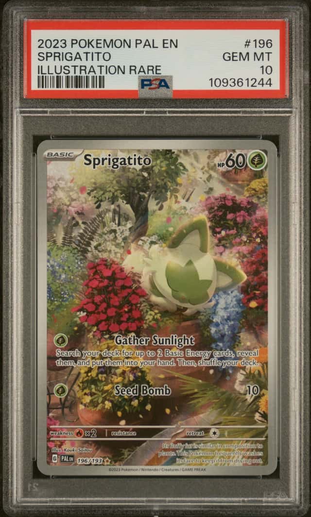 Sprigatito