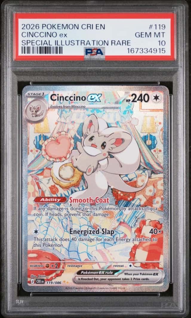 CINCCINO ex