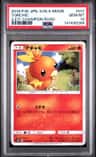 Torchic