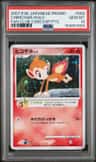 Chimchar