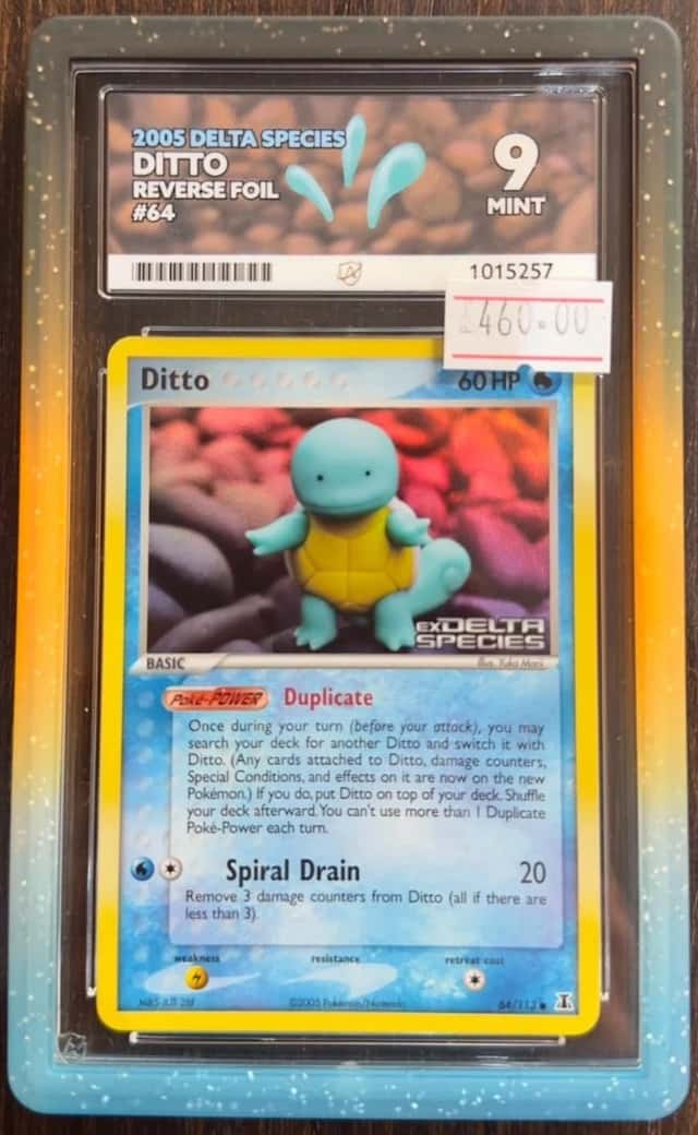 Ditto [Squirtle]