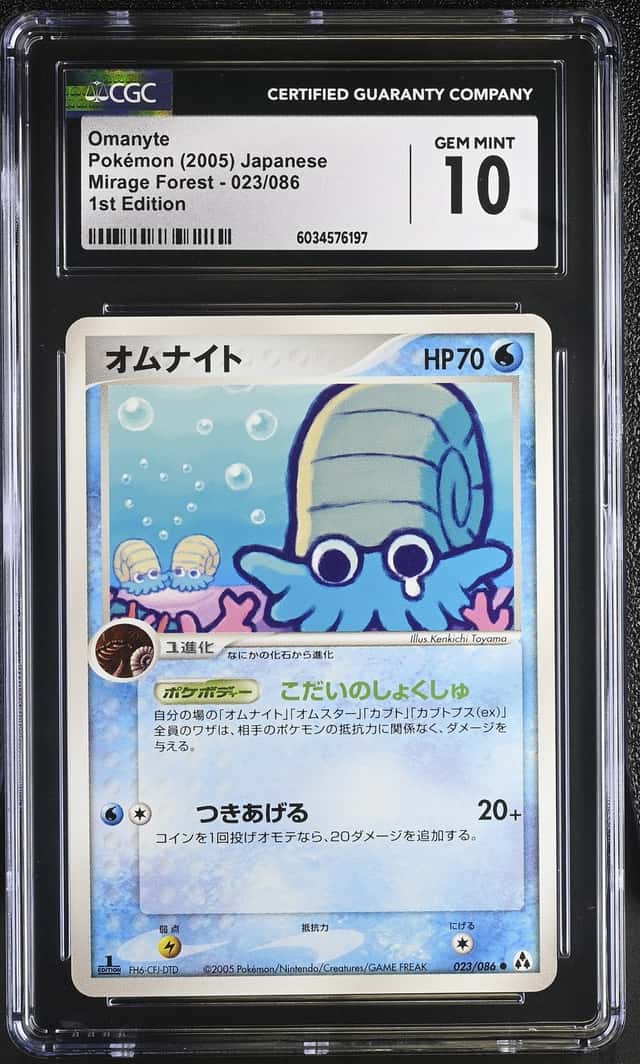 Omanyte