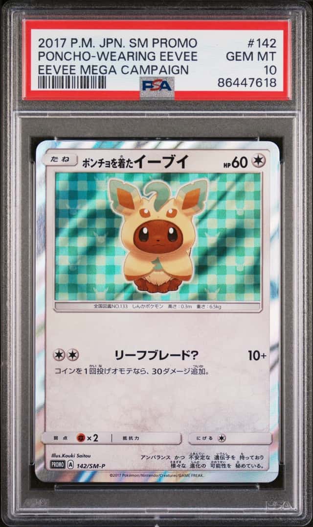 Poncho-Wearing Eevee