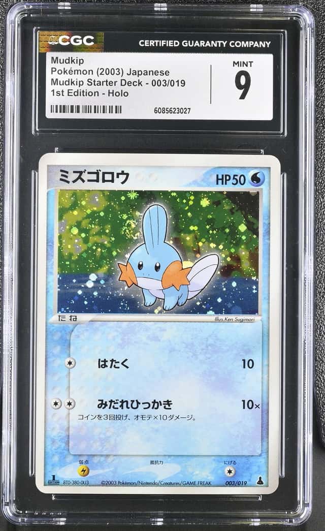 Mudkip