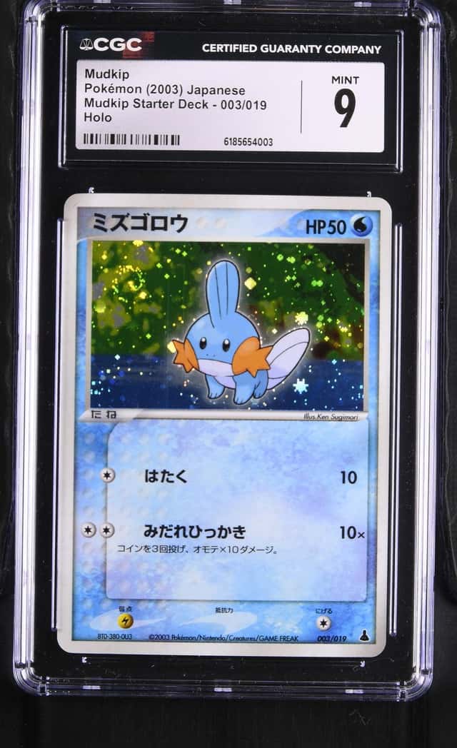 Mudkip