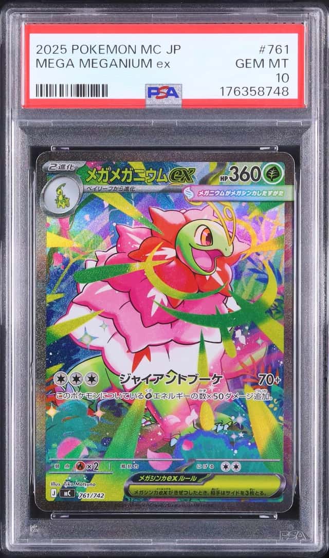 MEGA MEGANIUM ex