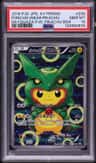 Poncho-Wearing Pikachu