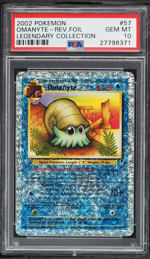 Omanyte